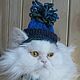  шерстяная шапочка для кошки или маленькой собачки, Одежда для питомцев, Волгореченск,  Фото №1