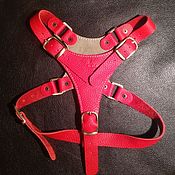 Зоотовары handmade. Livemaster - original item The Harness Redbag.. Handmade.