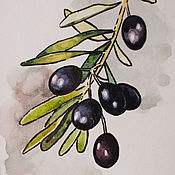 Картины и панно handmade. Livemaster - original item Katina watercolor framed Olive twig. Handmade.