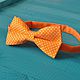 Tie Party / bright orange bow tie in polka dot, Ties, Moscow,  Фото №1