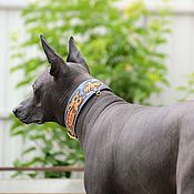Зоотовары handmade. Livemaster - original item Collar-herring for dogs of genuine leather. Handmade.