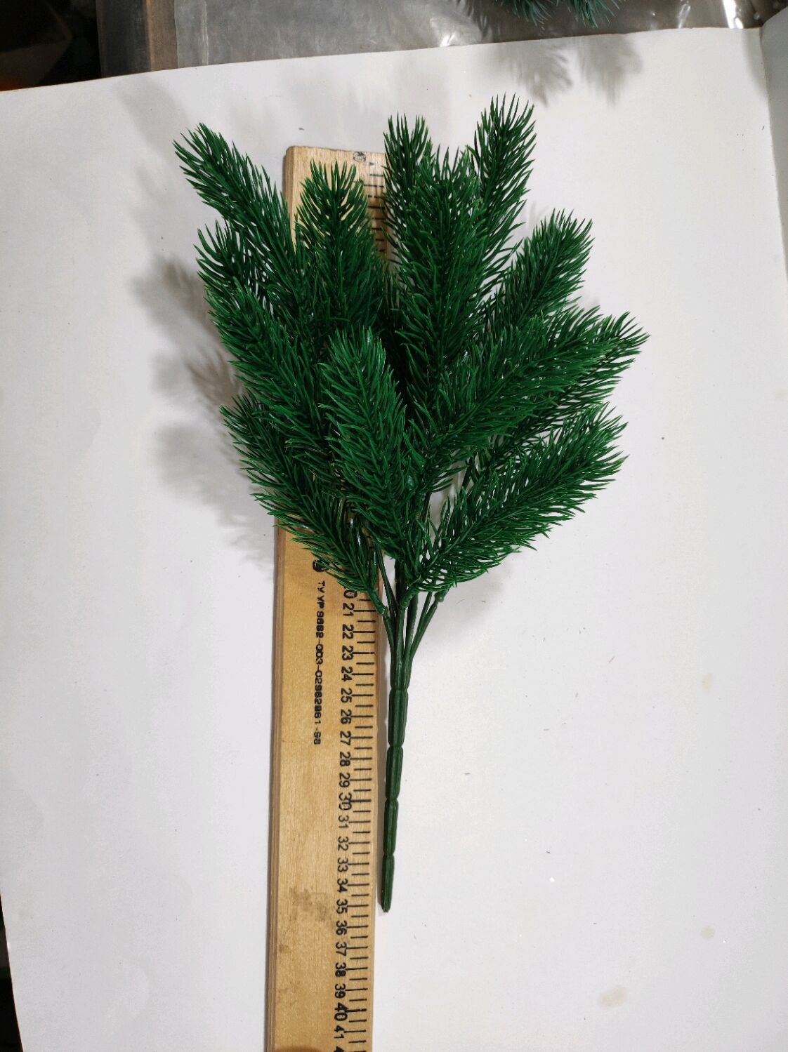 Елочка в букетах название. Букетная елочка для ботаника 9 букв. Букетная елочка для ботаника 9 букв. Елка для букетов название. Елочка для букетов.