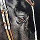 Order Oil painting with horse 'Black Prince' 60*80 cm. Ivlieva Irina Art. Livemaster. . Pictures Фото №3