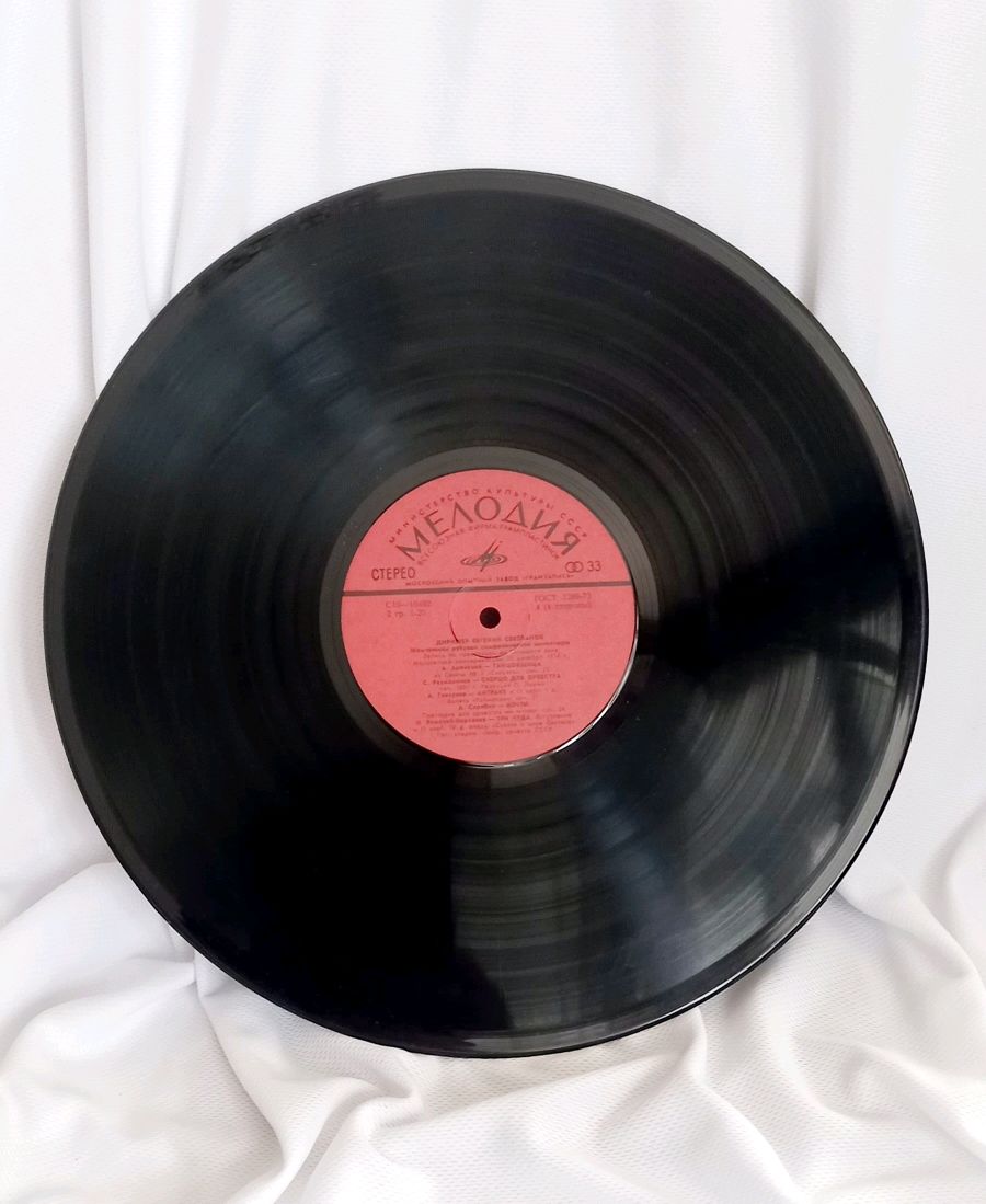 Заготовки : Пластинки виниловые. 30 см купить в интернет-магазине ...