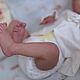 Кукла реборн Quinlyn ( в наличии ). Куклы Reborn. Солнечный Зайчик (reborndolls55). Ярмарка Мастеров.  Фото №5