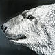 Bear, 21h29.7cm, pastel Painting, black and white portrait. Pictures. myfoxyart (MyFoxyArt). Online shopping on My Livemaster.  Фото №2