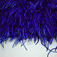 Order Trim of ostrich feathers 10-15 cm ultramarin. Weakne - furniture and fabrics (weakne). Livemaster. . braid Фото №3