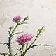Thistle, watercolor. Pictures. Belasla. Online shopping on My Livemaster.  Фото №2