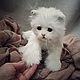 Teddy Animals: little white kitten. Teddy Toys. Teddybeasts. My Livemaster. Фото №6