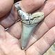 Order Pendant with a fossilized shark tooth. Elena Shevchenko  jeweller (odoli). Livemaster. . Pendant Фото №3