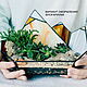 Флорариум геометрический горы для кактусов и суккулент, открытый #1, Флорариумы, Кемерово,  Фото №1