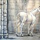 Картина белая лошадь камни на солнце. Светлая картина с белой лошадью. Картины. Загибалова И. Ю.. Интернет-магазин Ярмарка Мастеров.  Фото №2