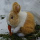 Голландский кролик Абрикос. Мягкие игрушки. Милые вещи от Аннушки. Ярмарка Мастеров.  Фото №6