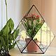 the florariumov: The Floriana. Vase for Floriana. Size M, Florariums, St. Petersburg,  Фото №1