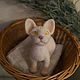 Котенок сфинкс, Мягкие игрушки, Тюмень,  Фото №1