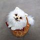 Teddy Animals: Puppy Pomeranian Binyon. Teddy Toys. VaKulina (Valentina) Teddy Bear. My Livemaster. Фото №4