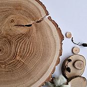 Срез дерева Ясеня без обработки