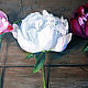Oil Painting on canvas "Peony series". Pictures. Filin-art. My Livemaster. Фото №4