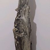 Коряга дрифтвуд driftwood светлая