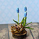 Easter composition with Muscari. Composition. KG_flowers. Online shopping on My Livemaster.  Фото №2