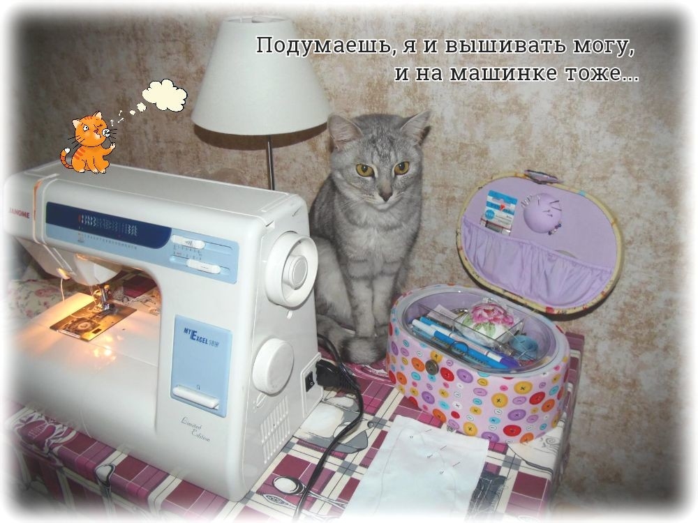 Рабочее место и мой помощник