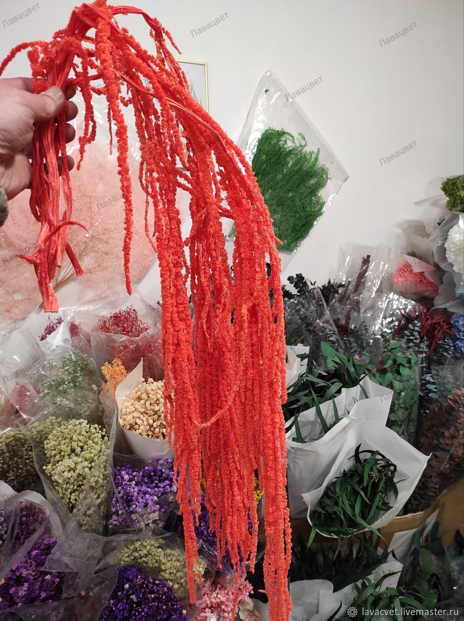 Амарант стабилизированный. Оранжевый купить в интернет-магазине Ярмарка ...