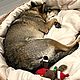 Лежанка плетеная для собаки, крупной кошки, круглая большая. Лежанки. Юлия Клёпа Плетёная корзина. Ярмарка Мастеров.  Фото №5