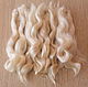 Hair for dolls (white, natural, washed) Curls for dolls