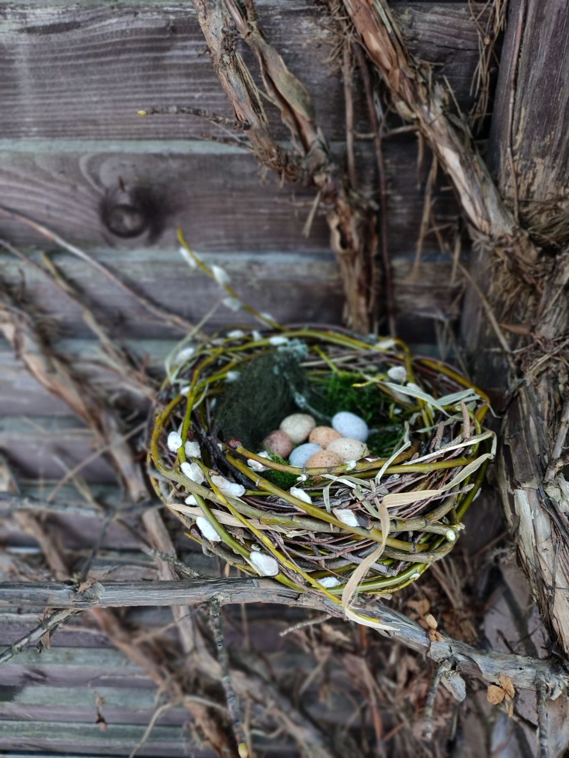 Декоративное гнездо своими руками. Гнездо декоративное. Весеннее гнездо. Гнездо деревянное. Гнездо декор на дереве.