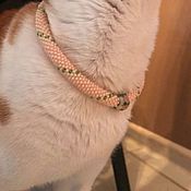 Collar PURPLE bead, for cats or dogs