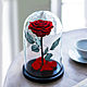 Rose in the flask, Gifts for March 8, Belgorod,  Фото №1