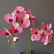Искусственные цветы. Орхидея-Фаленопсис 2 ветки. Цветы. Flowers Green Decor. Интернет-магазин Ярмарка Мастеров.  Фото №2