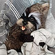 Teddy Animals: Raccoon Teddy Cinnamon. Teddy Toys. VaKulina (Valentina) Teddy Bear. My Livemaster. Фото №6