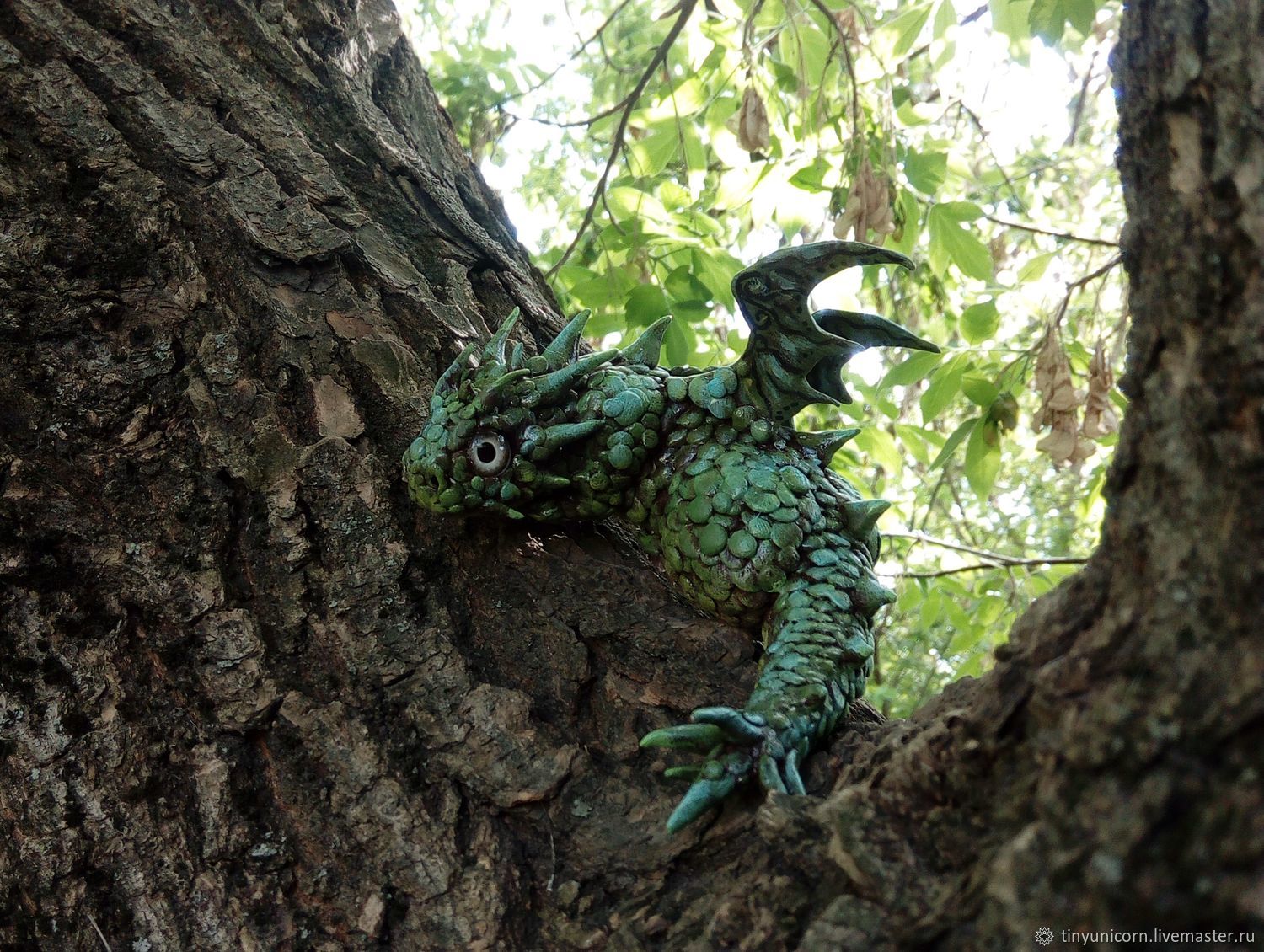 Дракон Лесной новогвинейский