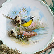Посуда handmade. Livemaster - original item Vintage porcelain plates with birds Royal Albert England. Handmade.