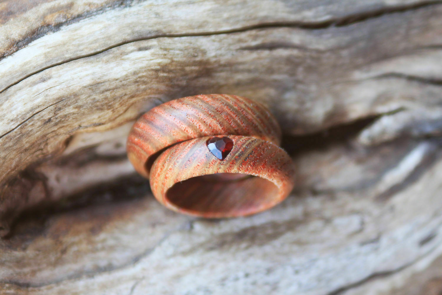 Деревянные кольца ( ясень) – заказать на Ярмарке Мастеров – QRAUCRU .