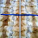 Пластины из лобиков лисы, набор, Мех, Шербакуль,  Фото №1