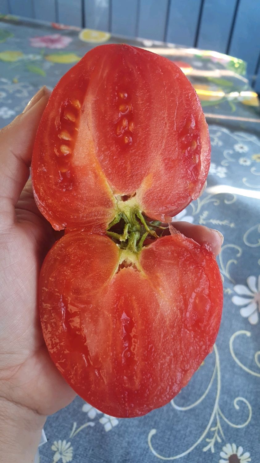 Сортовой томат Миссис Хаусворт купить в интернет-магазине Ярмарка Мастеровпо цене 50 ₽ – TM37ERU