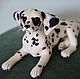 felted wool toy. Dog breed Dalmatian, Felted Toy, Moscow,  Фото №1