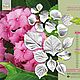 HYDRANGEA DOLCE, Vainer and cutters Hydrangea large, Cutters, Kurgan,  Фото №1