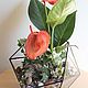 The Floriana with Anthurium. Plants. Glass Flowers. Online shopping on My Livemaster.  Фото №2