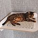 Hammock wicker corner 'cat's dream'. Pet Hammock. VIMBESK. My Livemaster. Фото №15