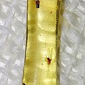 Aquamarines(crystals), pair 30/10/8 mm, Sherlova Gora, Transbaikalia