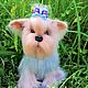 York puppy Yorkshire Terrier knitted puppy knitted toy, Stuffed Toys, Zhukovsky,  Фото №1
