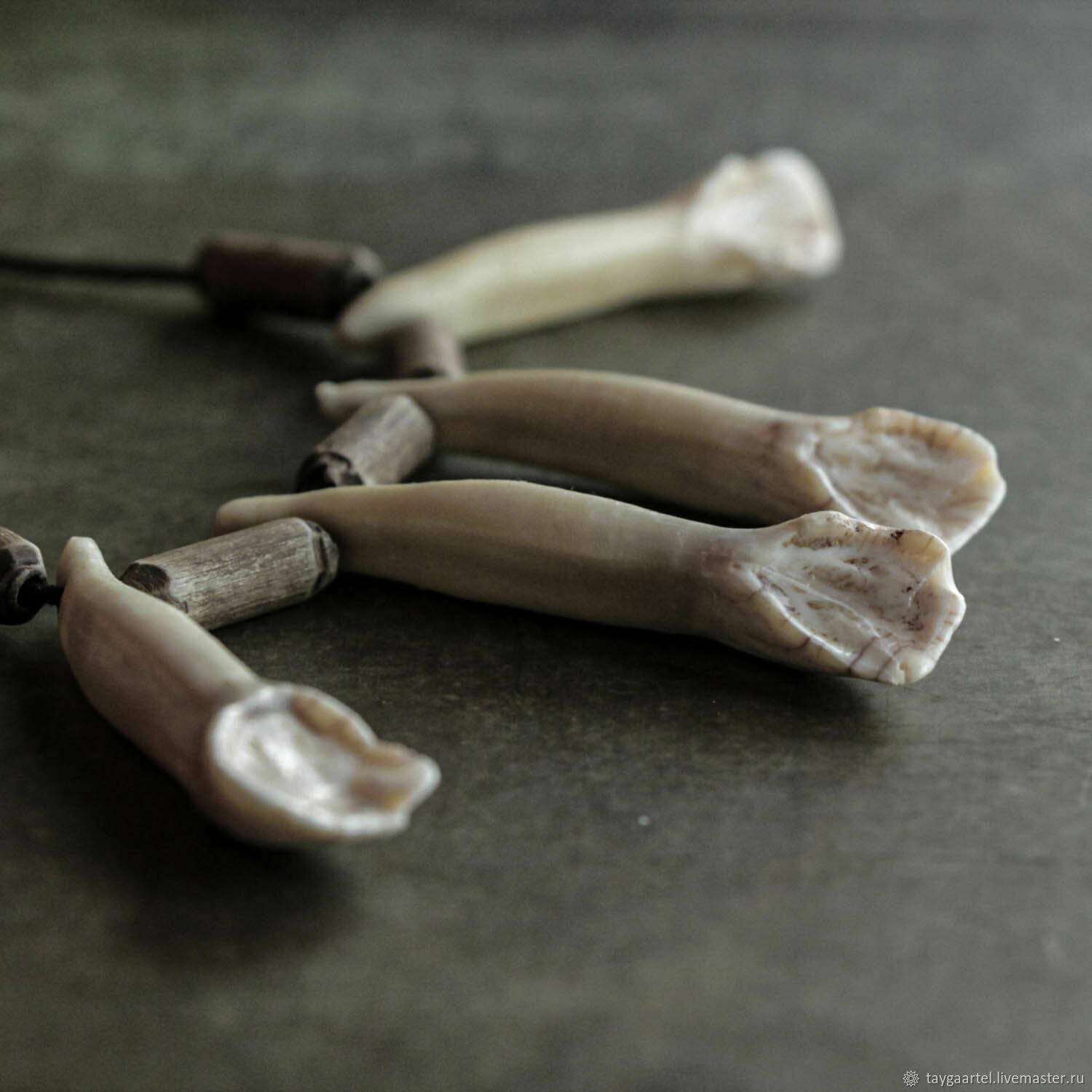 Нижняя челюсть оленя в интернет-магазине на Ярмарке Мастеров Ритуальная атрибути