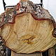 Спил дерева для журнального столика, Столы, Казань,  Фото №1