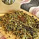 Order The herbs Gastro-intestinal. altayatravy (altayatravy). Livemaster. . Grass Фото №3