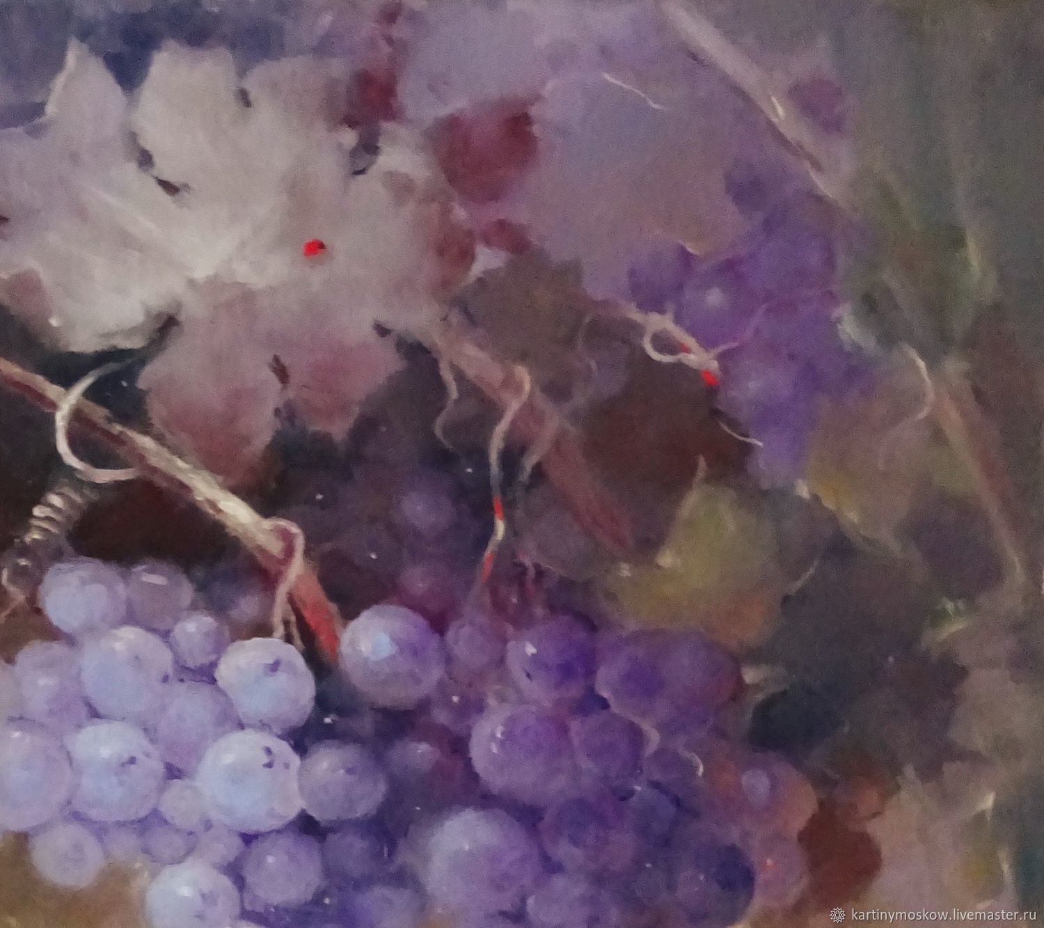 Песня ветки винограда. Ветка винограда. Ветка винограда картина. Виноград с веточкоймамлом. Сборщица винограда картина.
