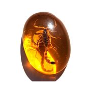 Сувениры и подарки handmade. Livemaster - original item Magnet Real Scorpion in resin amber color souvenir gift cabochon. Handmade.