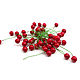 Holly berries for Decoration 50 pcs. Decor for floristry. merlin-hat (Merlin-hat). My Livemaster. Фото №5